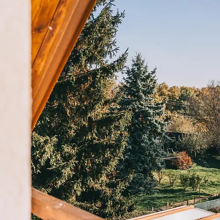 Kali Lugas Vendeghaz