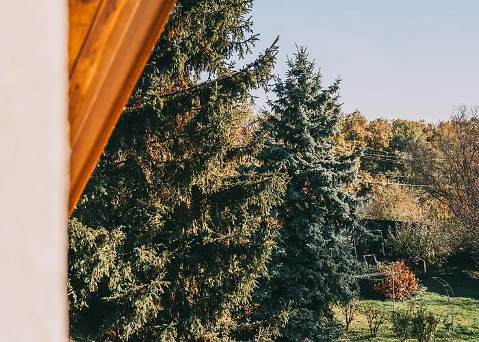 Kali Lugas Vendeghaz